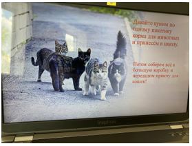 Неделя добрых дел