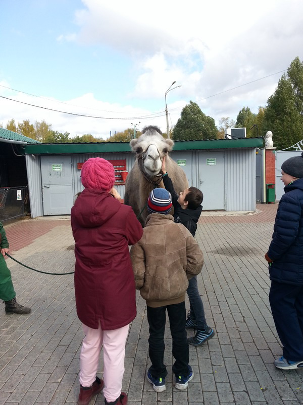 Экскурсия в зоопарк
