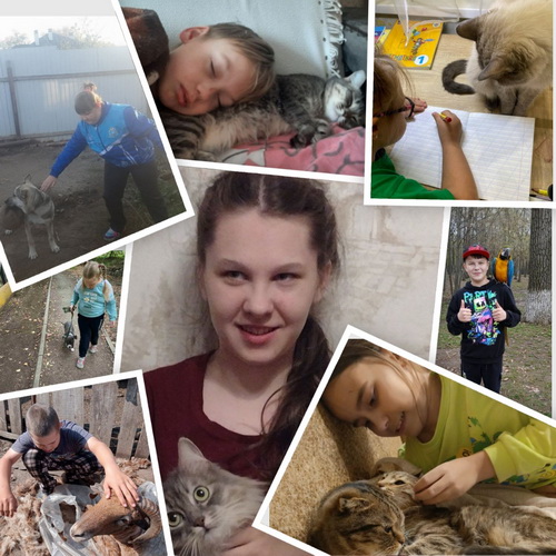 День защиты животных.