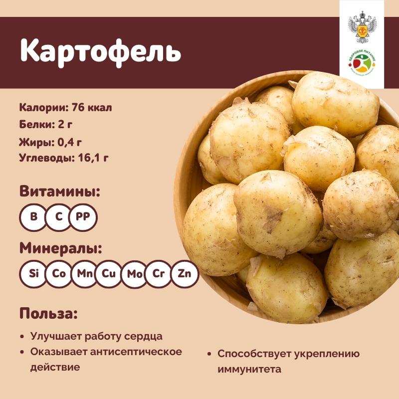 продукты