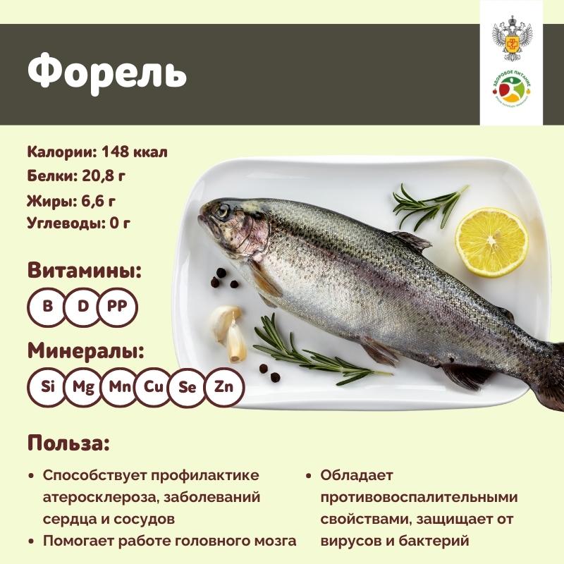 продукты