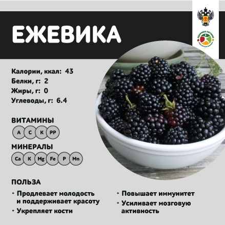 продукты