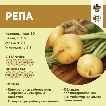 продукты