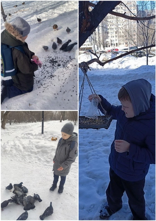День здоровья