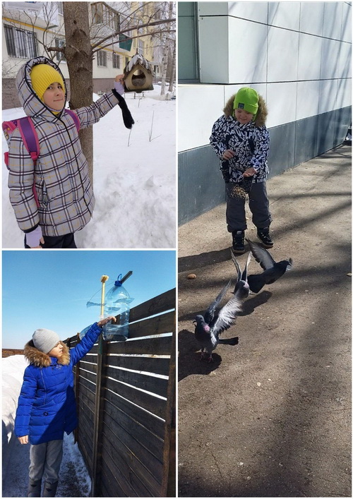 День здоровья