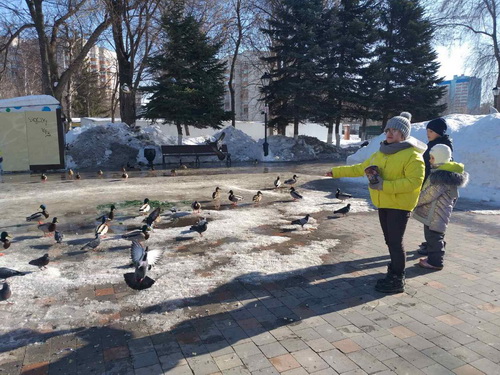 День здоровья