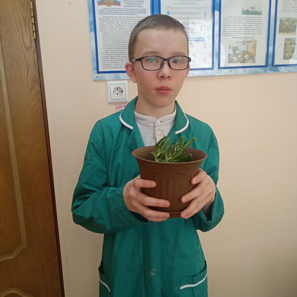 к международному Дню Земли
