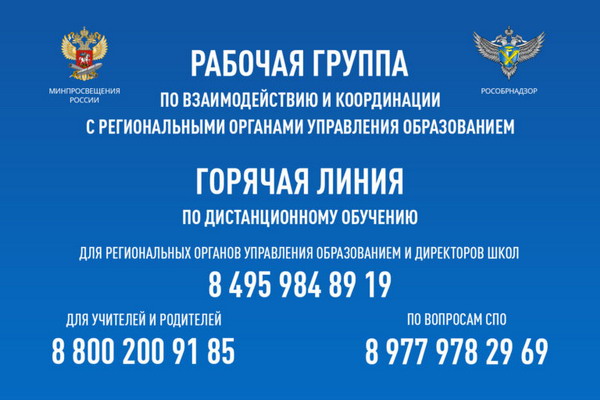 горячие линии